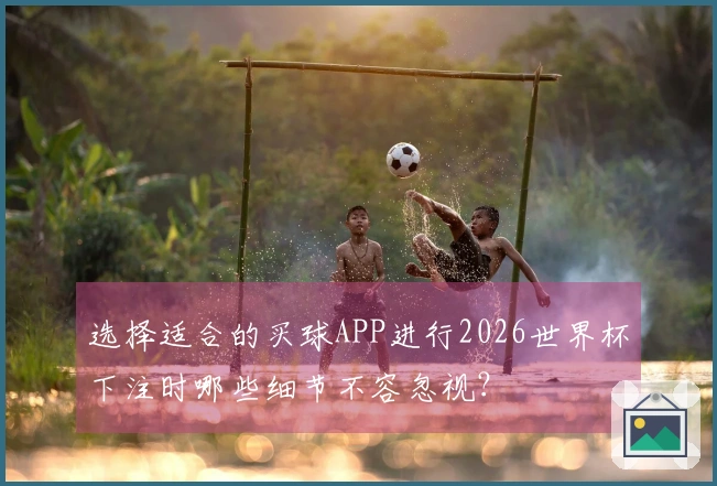选择适合的买球APP进行2026世界杯下注时哪些细节不容忽视？