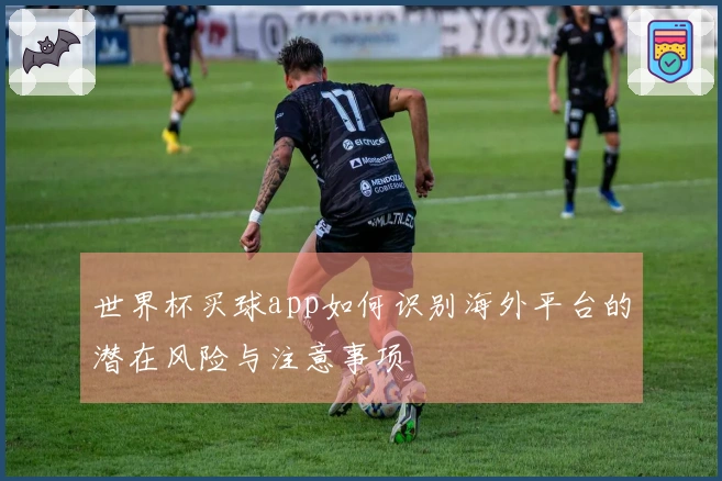 世界杯买球app如何识别海外平台的潜在风险与注意事项