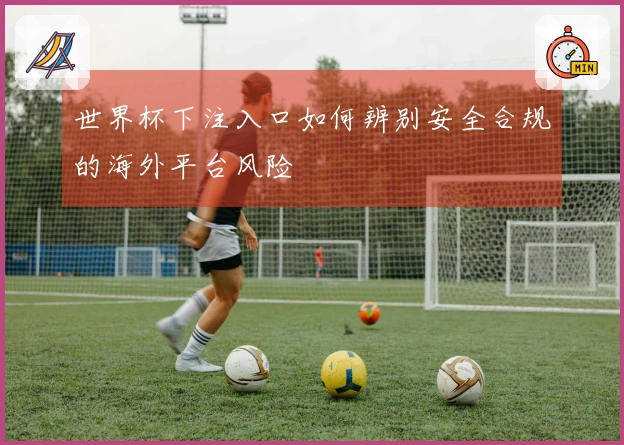 世界杯下注入口如何辨别安全合规的海外平台风险