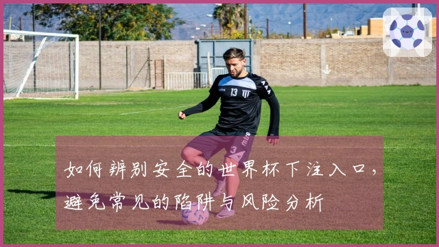 如何辨别安全的世界杯下注入口，避免常见的陷阱与风险分析