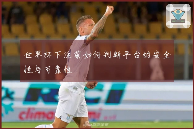 世界杯下注前如何判断平台的安全性与可靠性