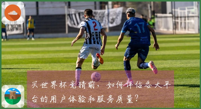 买世界杯竞猜前，如何评估各大平台的用户体验和服务质量？
