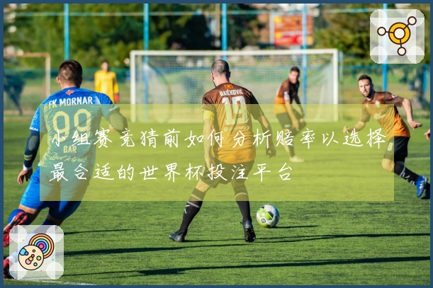 小组赛竞猜前如何分析赔率以选择最合适的世界杯投注平台
