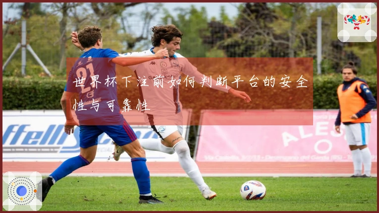 世界杯下注前如何判断平台的安全性与可靠性