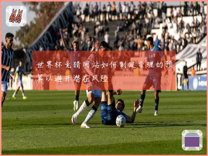 世界杯竞猜网站如何制定合理的预算以避开潜在风险