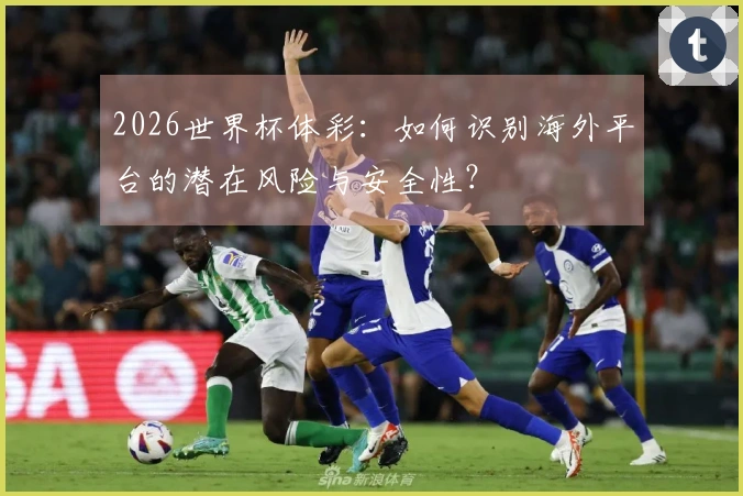 2026世界杯体彩：如何识别海外平台的潜在风险与安全性？
