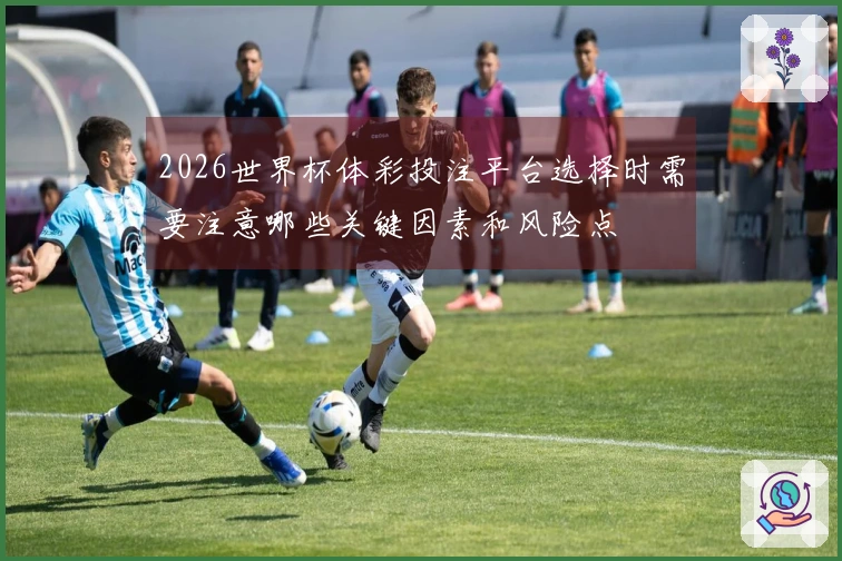 2026世界杯体彩投注平台选择时需要注意哪些关键因素和风险点