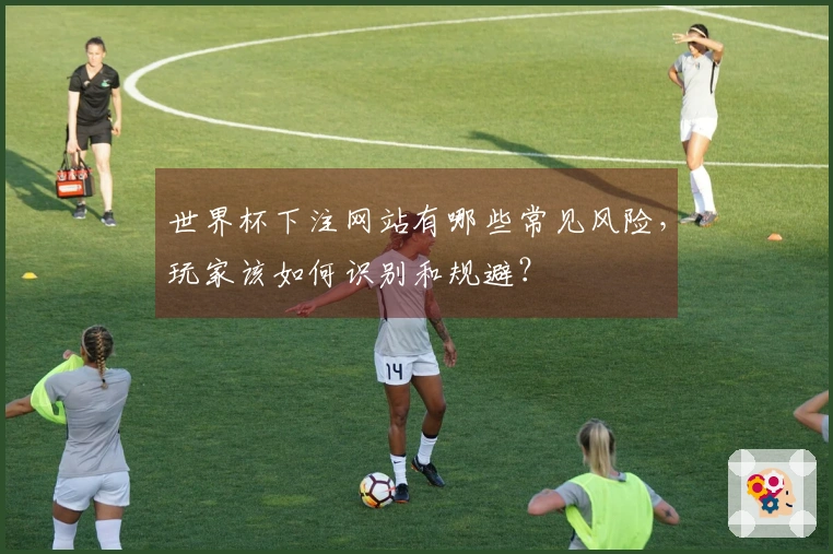 世界杯下注网站有哪些常见风险，玩家该如何识别和规避？