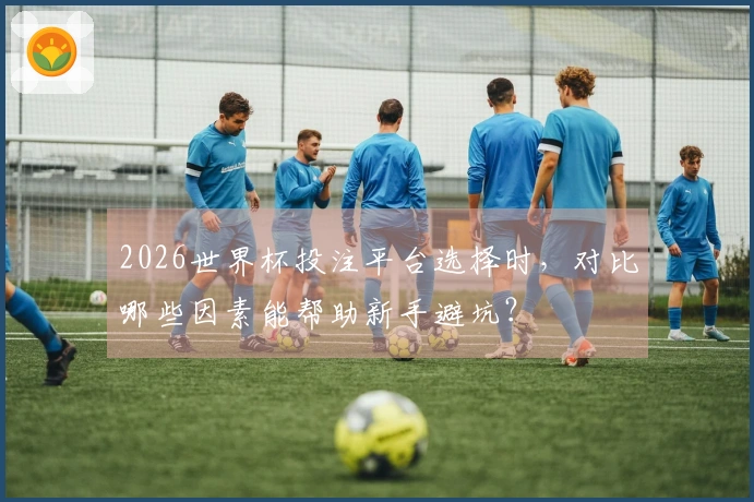 2026世界杯投注平台选择时，对比哪些因素能帮助新手避坑？