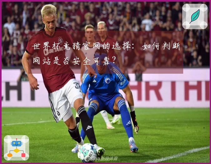 世界杯竞猜官网的选择：如何判断网站是否安全可靠？