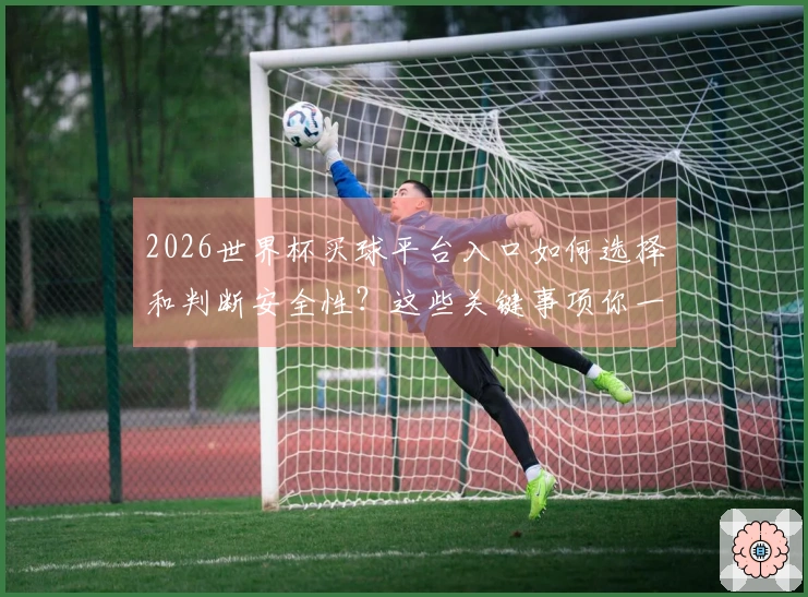 2026世界杯买球平台入口如何选择和判断安全性？这些关键事项你一定要了解