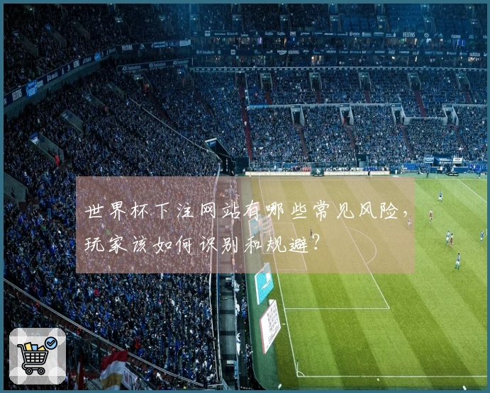 世界杯下注网站有哪些常见风险，玩家该如何识别和规避？
