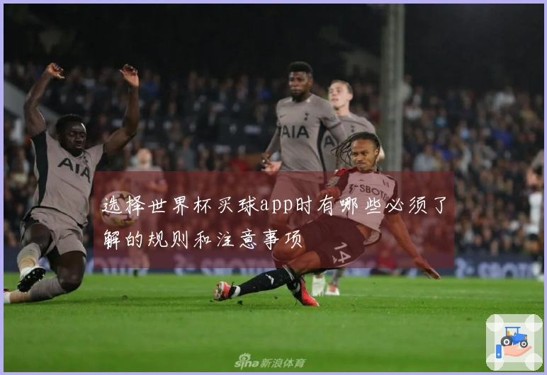 选择世界杯买球app时有哪些必须了解的规则和注意事项