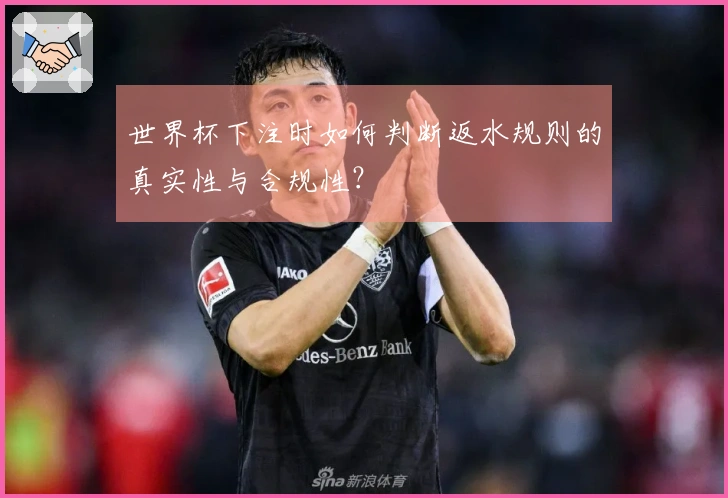 世界杯下注时如何判断返水规则的真实性与合规性？