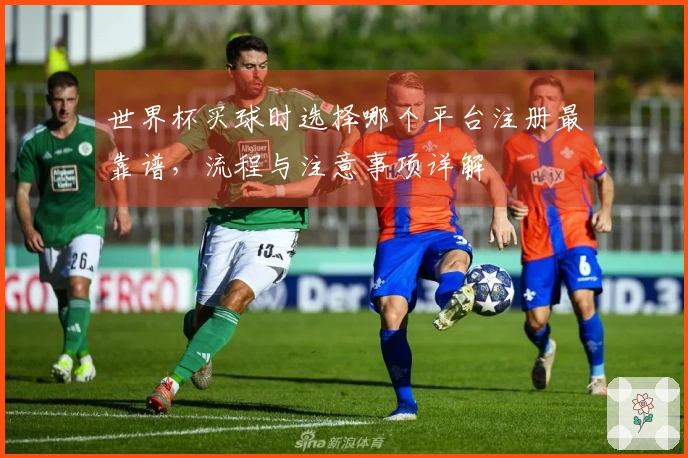 世界杯买球时选择哪个平台注册最靠谱，流程与注意事项详解