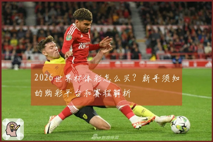 2026世界杯体彩怎么买？新手须知的购彩平台和赛程解析