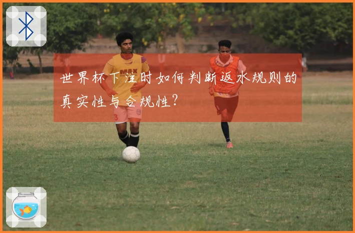 世界杯下注时如何判断返水规则的真实性与合规性？