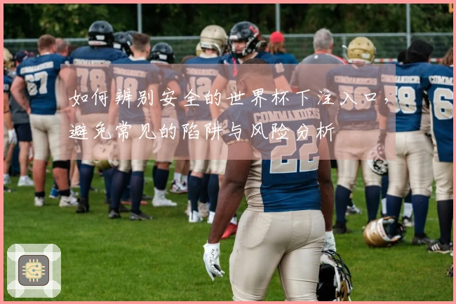 如何辨别安全的世界杯下注入口，避免常见的陷阱与风险分析
