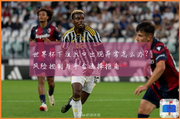 世界杯下注入口出现异常怎么办？风险控制与平台选择指南