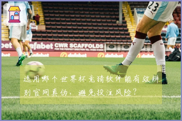 选用哪个世界杯竞猜软件能有效辨别官网真伪，避免投注风险？